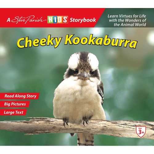 Cheeky Kookaburra