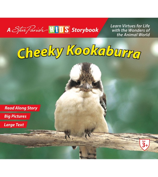 Cheeky Kookaburra