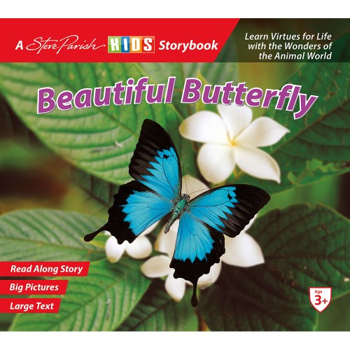 Beautiful Butterfly