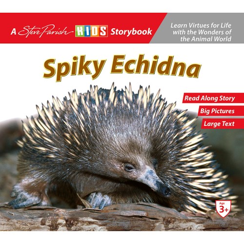 Spiky Echidna