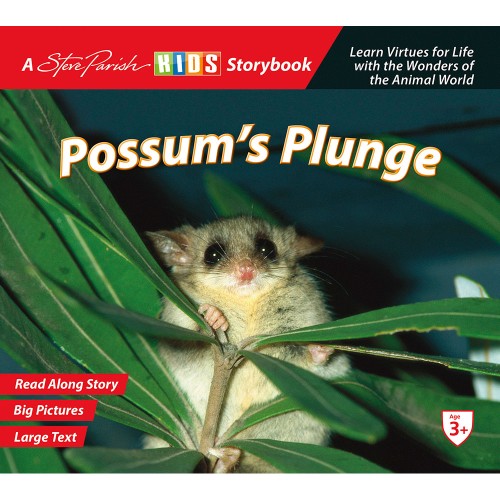 Possum's Plunge