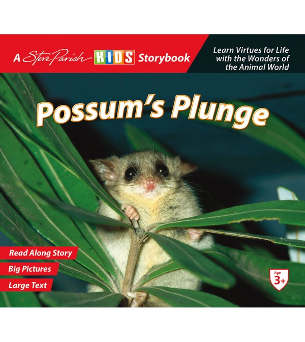 Possum's Plunge