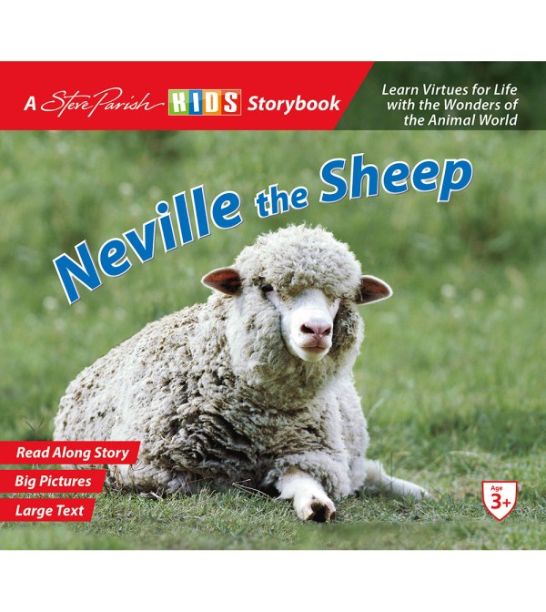 Neville the Sheep