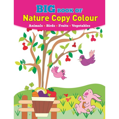 Big Book of Nature Copy Colour