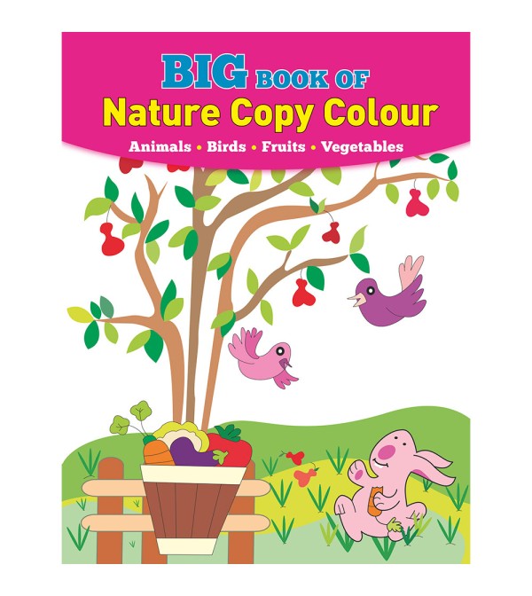 Big Book of Nature Copy Colour