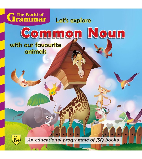 Lets Explore Common Noun