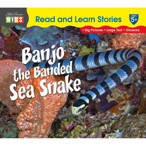 Banjo the Banded Sea Snake