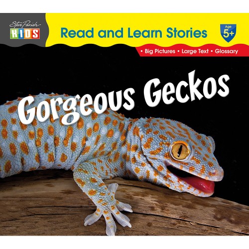 Gorgeous Geckos