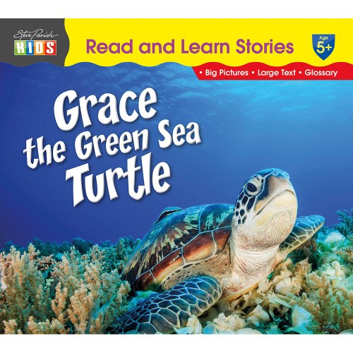 Grace the Green Sea Turtle