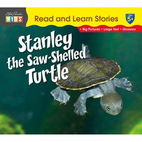 Stanley the Saw-Shelled Turtle