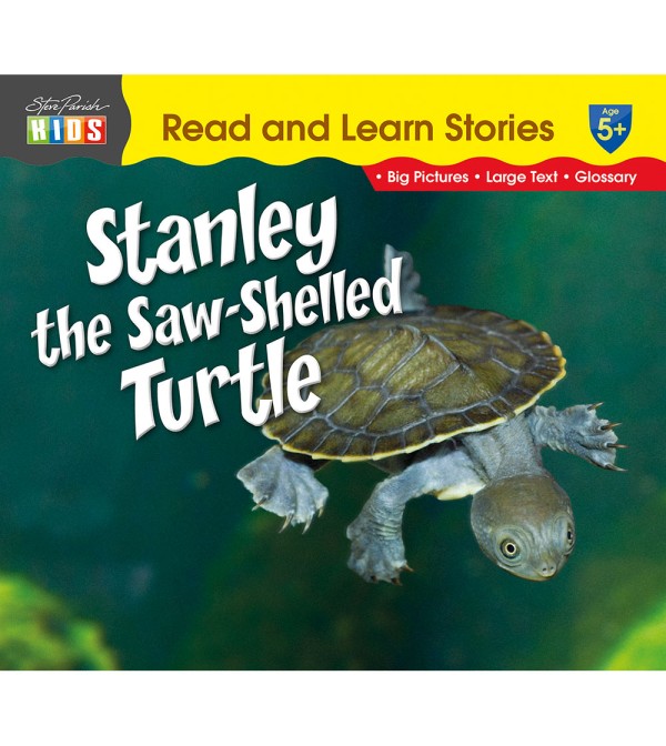 Stanley the Saw-Shelled Turtle
